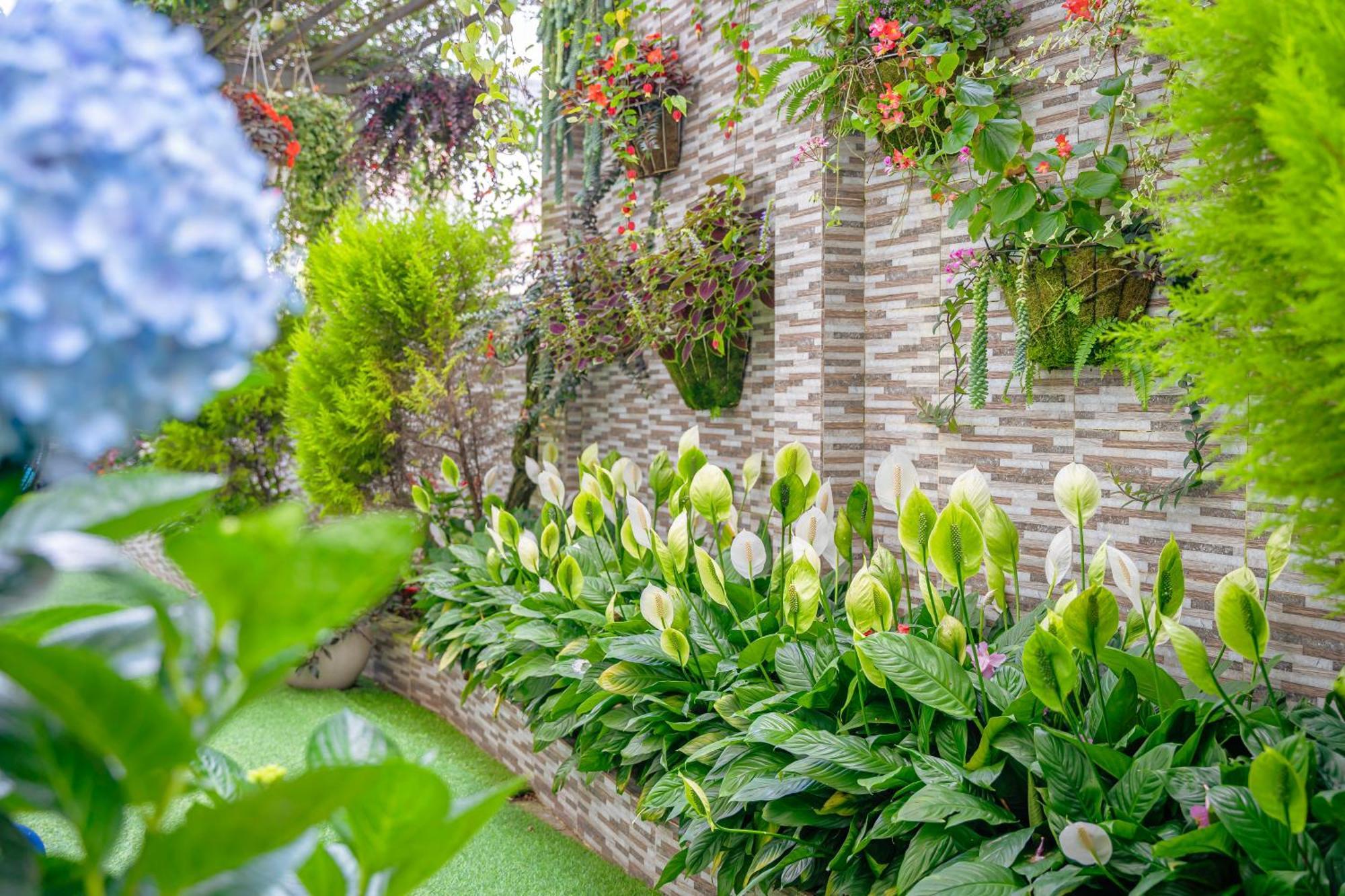 Minh Chien Hotel Đà Lạt Exterior foto